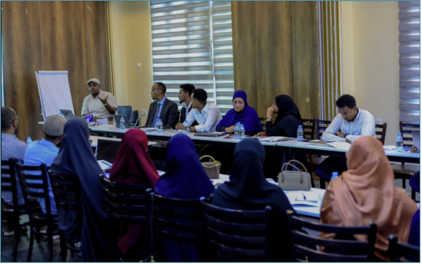 UAT and Implementation Training - FMIS MoH Somalia — 2/2