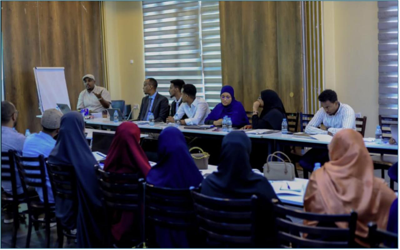 UAT and Implementation Training - FMIS MoH Somalia — 2/2