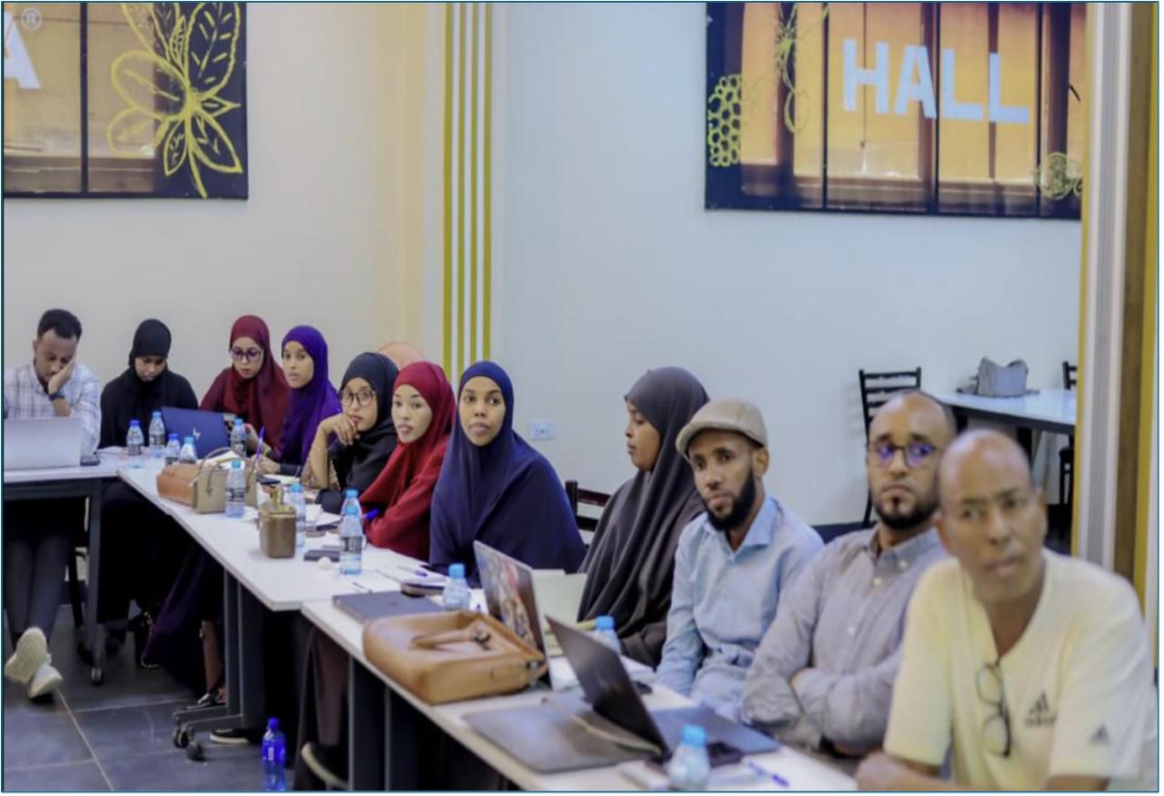 UAT and Implementation Training - FMIS MoH Somalia — 1/2