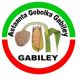 Gabiley Local Government